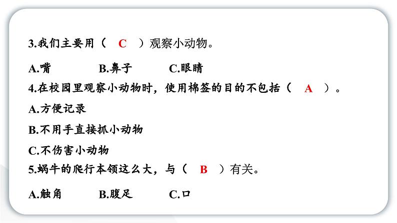 2024教科版科学一年级下册第二单元动物第二单元学习达标测试 作业课件ppt第4页