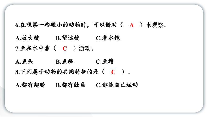 2024教科版科学一年级下册第二单元动物第二单元学习达标测试 作业课件ppt第5页