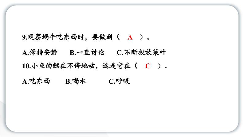 2024教科版科学一年级下册第二单元动物第二单元学习达标测试 作业课件ppt第6页