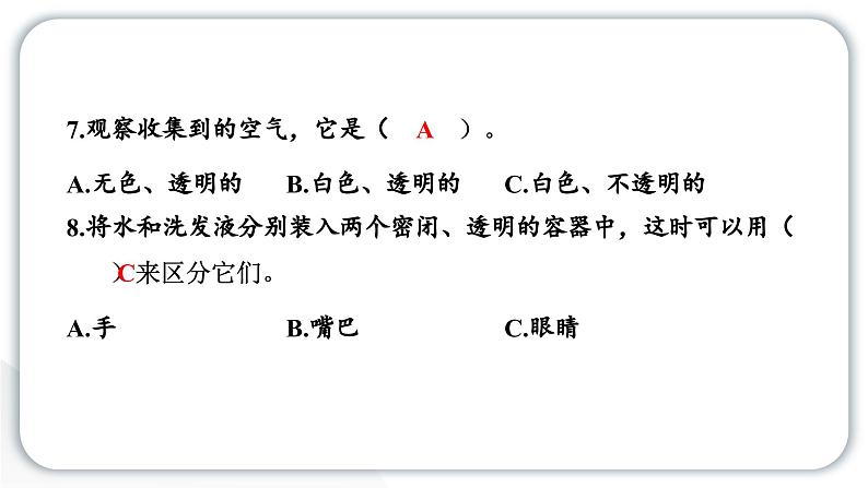 2024教科版科学一年级下册期中测试卷 作业课件ppt第5页