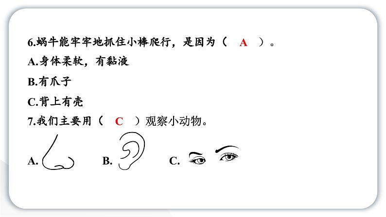 2024教科版科学一年级下册期末测试卷（一） 作业课件ppt第5页