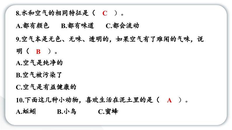 2024教科版科学一年级下册期末测试卷（一） 作业课件ppt第6页