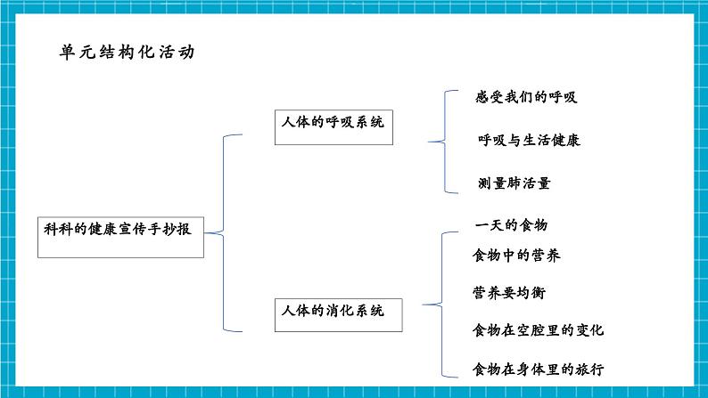 第2单元第7课 食物在口腔里的变化 课时课件第3页