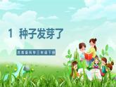【核心素养】苏教版（2017）科学三下 1.1《种子发芽了》课件+教案+分层练习+素材