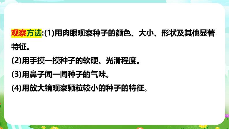 【核心素养】苏教版（2017）科学三下 1.1《种子发芽了》课件第5页