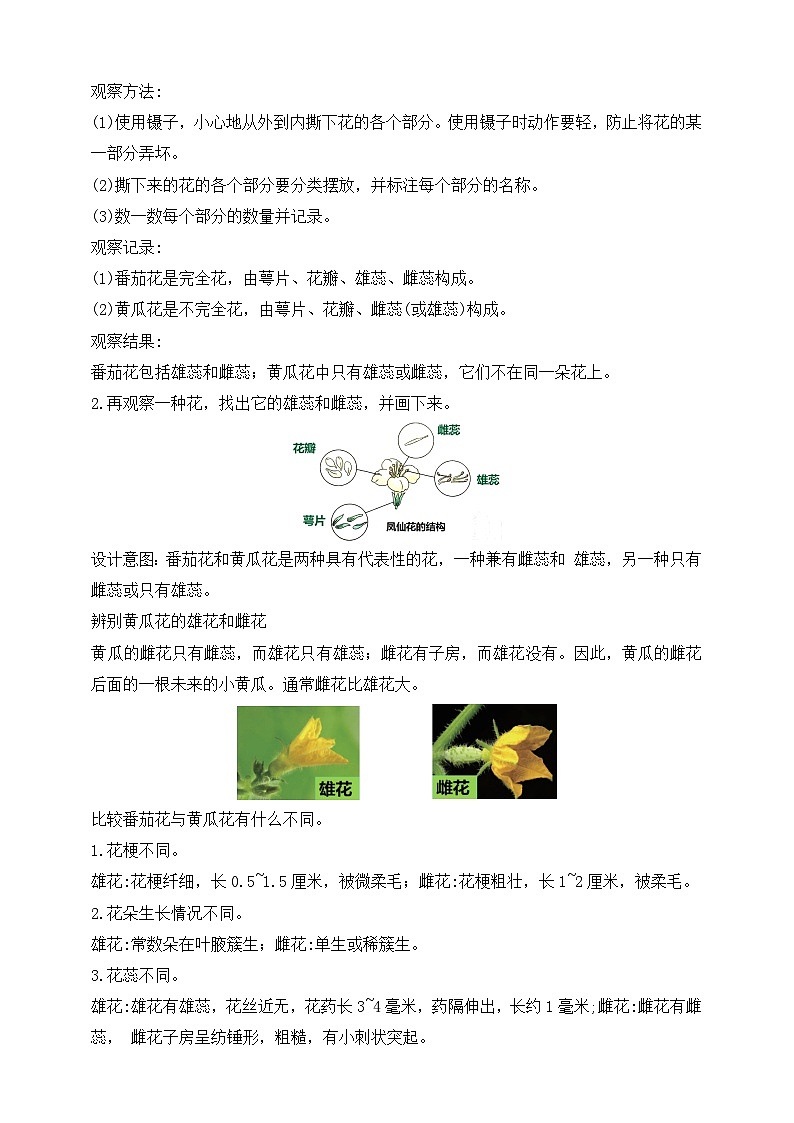 【核心素养】苏教版（2017）科学三下 1.3《植物开花了》教案第2页