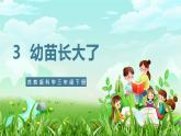 【核心素养】苏教版（2017）科学三下 1.3《植物开花了》课件+教案+分层练习+素材