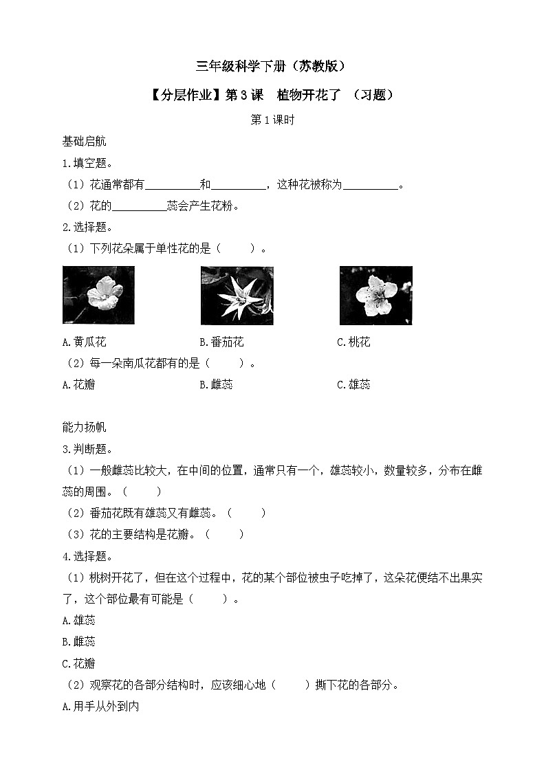 【核心素养】苏教版（2017）科学三下 1.3《植物开花了》分层练习（含答案）第1页