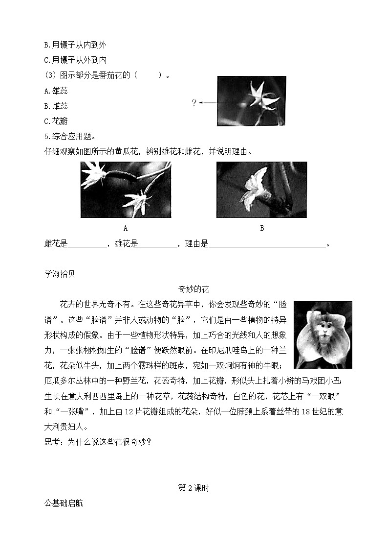 【核心素养】苏教版（2017）科学三下 1.3《植物开花了》分层练习（含答案）第2页