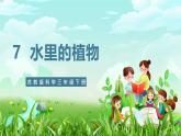 【核心素養(yǎng)】蘇教版（2017）科學三下 2.7《水里的植物》課件+教案+分層練習+素材
