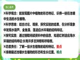 【核心素養(yǎng)】蘇教版（2017）科學三下 2.7《水里的植物》課件+教案+分層練習+素材