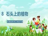 【核心素養(yǎng)】蘇教版（2017）科學(xué)三下 2.8《石頭上的植物》課件+教案+分層練習(xí)+素材
