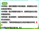 【核心素養(yǎng)】蘇教版（2017）科學(xué)三下 2.8《石頭上的植物》課件+教案+分層練習(xí)+素材
