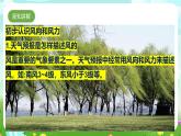 【核心素养】苏教版（2017）科学三下 5.18《风向和风力》课件+教案+分层练习+素材