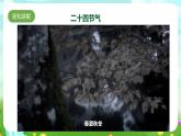 【核心素養(yǎng)】蘇教版（2017）科學(xué)三下 5,19《天氣和氣候》課件+教案+分層練習(xí)+素材
