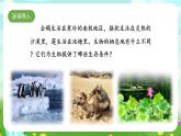 人教鄂教版（2017）科学六下 1.1《生物的栖息地》课件+练习+素材