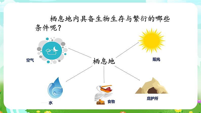 人教鄂教版（2017）科学六下 1.1《生物的栖息地》课件第5页