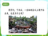 人教鄂教版（2017）科学六下 1.2《动物对环境的适应》课件+练习+素材