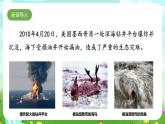 人教鄂教版（2017）科学六下 1.3《保护生物和环境》课件+练习+素材