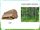 青島版六三制（2017）科學(xué)三年級下冊  第10課《天然材料和人造材料》課件+教案+素材