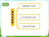 青岛版六三制（2017）科学三年级下册  第13课《种子发芽了》课件+教案+素材