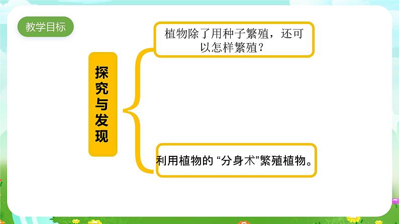 青岛版六三制（2017）科学三年级下册  第14课《植物的“分身术”》课件第3页