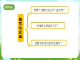 青岛版六三制（2017）科学三年级下册  第19课《食物到哪里去了》课件+教案+素材