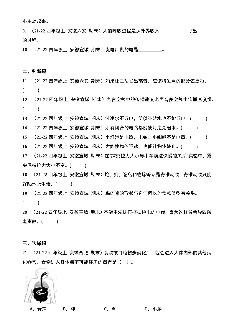 真题改编试卷-2024-2025学年科学四年级上学期期末（安徽专版）-A4第2页