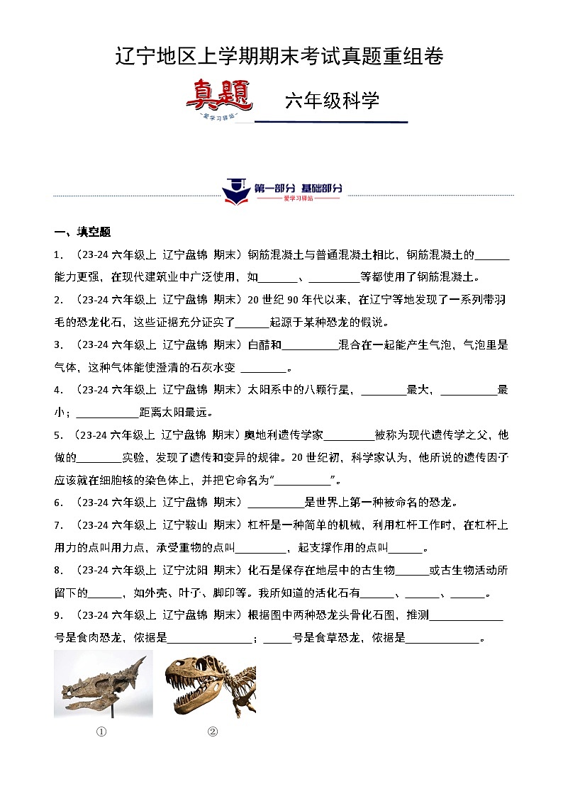 真题改编试卷-2024-2025学年科学六年级上学期期末（辽宁专版）-A4第1页