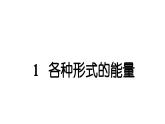 2024教科版科学六年级上册第四单元能量1各种形式的能量  作业课件
