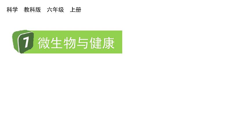 2024教科版科学六年级上册第一单元微小世界7微生物与健康教学课件第1页