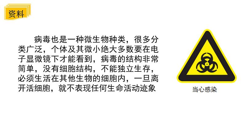 2024教科版科学六年级上册第一单元微小世界7微生物与健康教学课件第5页