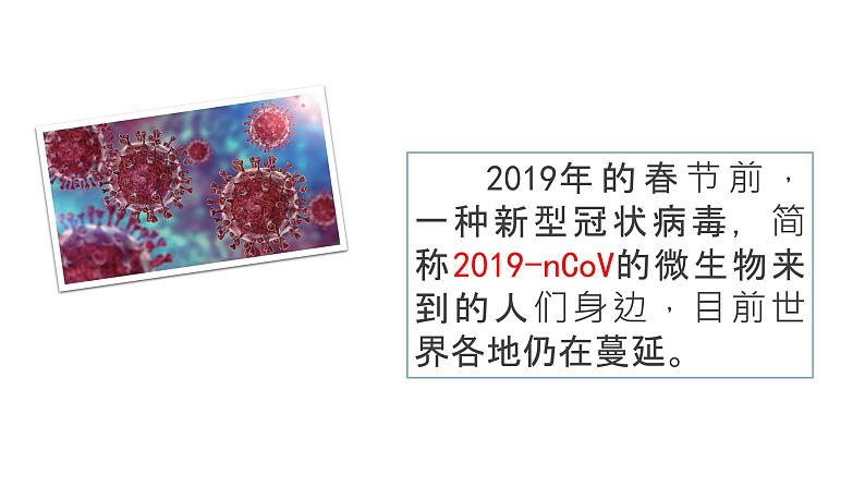 2024教科版科学六年级上册第一单元微小世界7微生物与健康教学课件第6页