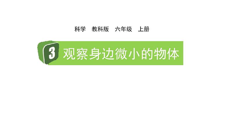 2024教科版科学六年级上册第一单元微小世界3观察身边微小的物体教学课件第1页