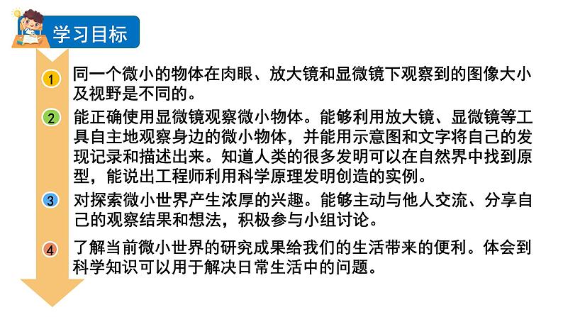 2024教科版科学六年级上册第一单元微小世界3观察身边微小的物体教学课件第2页