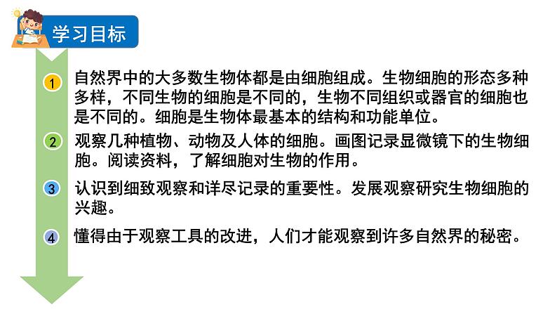 2024教科版科学六年级上册第一单元微小世界5观察更多的生物细胞教学课件第3页