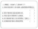2024教科版科学六年级上册第一单元微小世界1放大镜  作业课件
