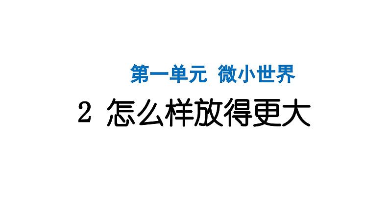 2024教科版科学六年级上册第一单元微小世界2怎样放得更大  作业课件第1页