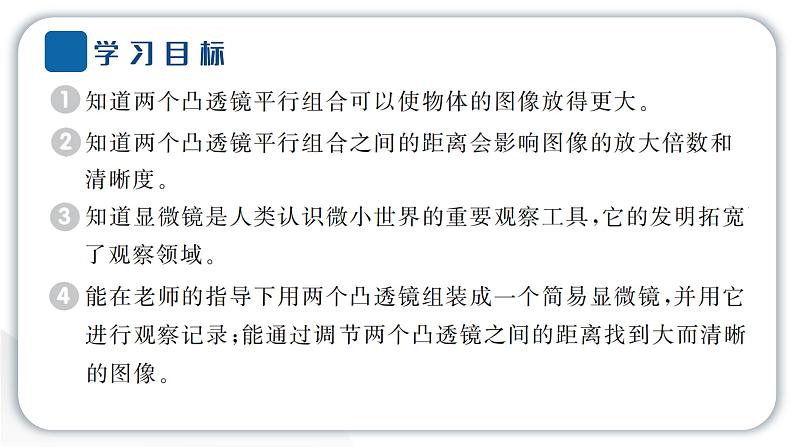 2024教科版科学六年级上册第一单元微小世界2怎样放得更大  作业课件第2页