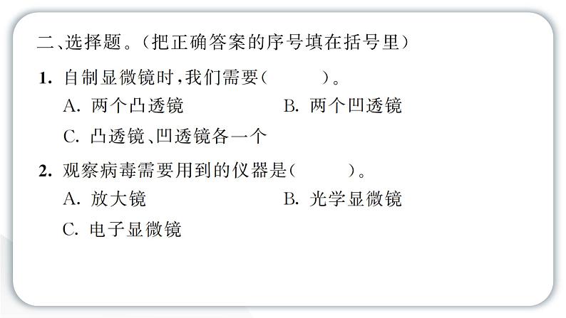 2024教科版科学六年级上册第一单元微小世界2怎样放得更大  作业课件第4页