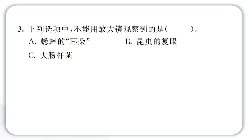 2024教科版科学六年级上册第一单元微小世界2怎样放得更大  作业课件第5页