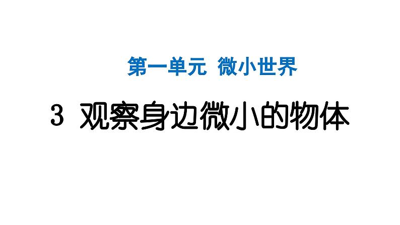 2024教科版科学六年级上册第一单元微小世界3观察身边微小的物体  作业课件第1页