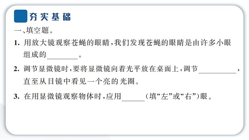 2024教科版科学六年级上册第一单元微小世界3观察身边微小的物体  作业课件第3页