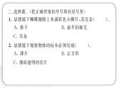 2024教科版科学六年级上册第一单元微小世界3观察身边微小的物体  作业课件