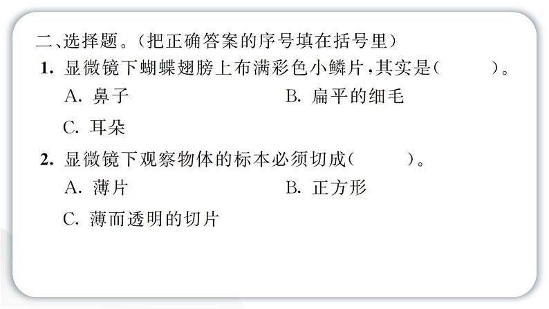 2024教科版科学六年级上册第一单元微小世界3观察身边微小的物体  作业课件第4页