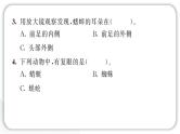 2024教科版科学六年级上册第一单元微小世界3观察身边微小的物体  作业课件