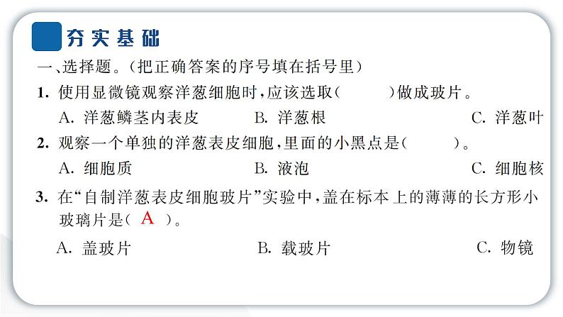 2024教科版科学六年级上册第一单元微小世界4观察洋葱表皮细胞  作业课件第3页