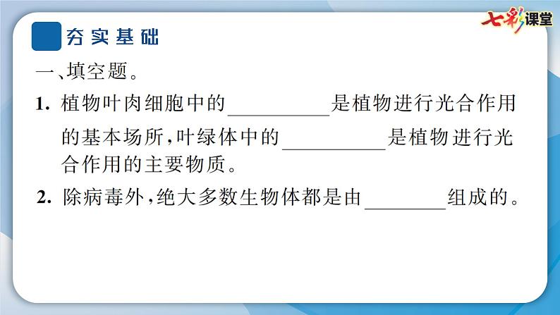 2024教科版科学六年级上册第一单元微小世界5观察更多的生物细胞  作业课件第5页