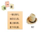 2024教科版科學(xué)二年級上冊第二單元材料6做一頂帽子教學(xué)課件