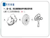 2024教科版科学二年级上册第二单元材料1 我们生活的世界 作业课件